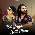 Tod Diya Dill Mera