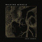 Walking Miracle (feat. Mike Donehey)