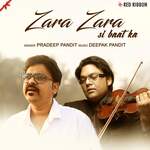 Zara Zara Si Baat Ka