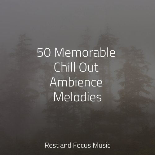 50 Memorable Chill Out Ambience Melodies_poster_image