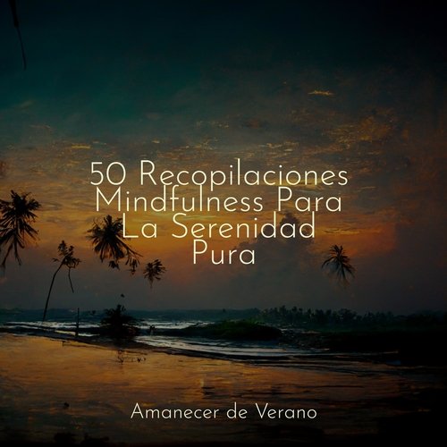 50 Recopilaciones Mindfulness Para La Serenidad Pura