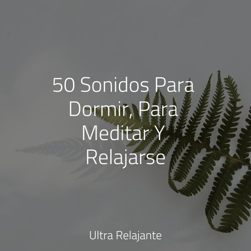 50 Sonidos Para Dormir, Para Meditar Y Relajarse