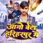 Aajo Beta Hariharpur Me