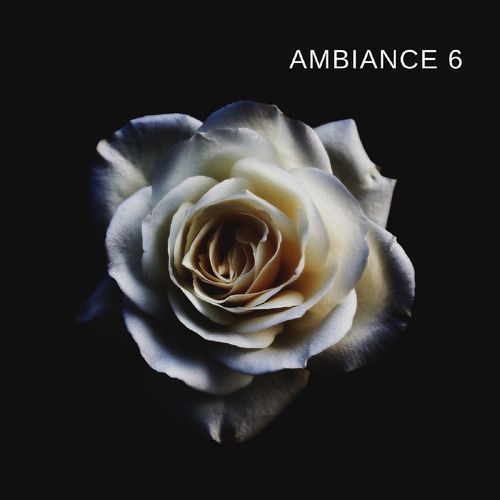 Ancien cover art