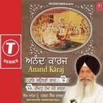 Anand Karaj - Vol.10