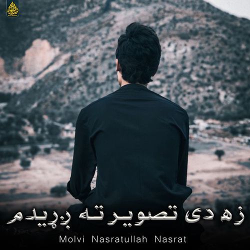 زه دی تصویر ته ږړیدم