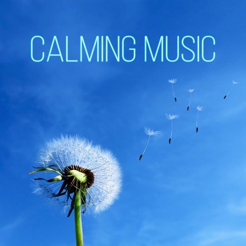 Calming Music – New Age Songs for Deep Relaxation Anti Stress, Peace of Mind, Well Being, Serenity, Happiness, Relax & Meditate