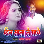 Dil Sala Ne Mane