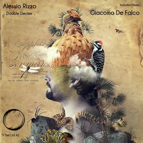 Double Decker (Giacomo De Falco Remix) cover art