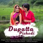 Dupatta Pichodi