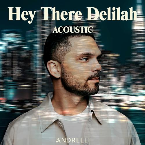 Hey There Delilah (Acoustic)_poster_image