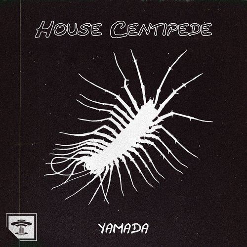 House Centipede