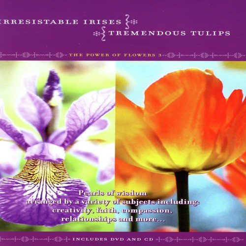 Irresistable Irises, Tremendous Tulips - The Power Of Flowers 3