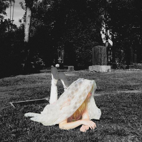 Landfill cover art