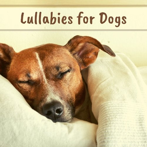 Lullabies for Dogs