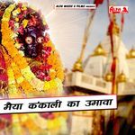 Hardya Mein Aaja Maiya Parde Mein Aaja artwork