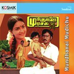Naa Pudikkum Mapilatha (Version 2)