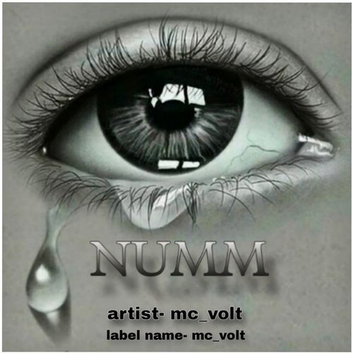 NUMM