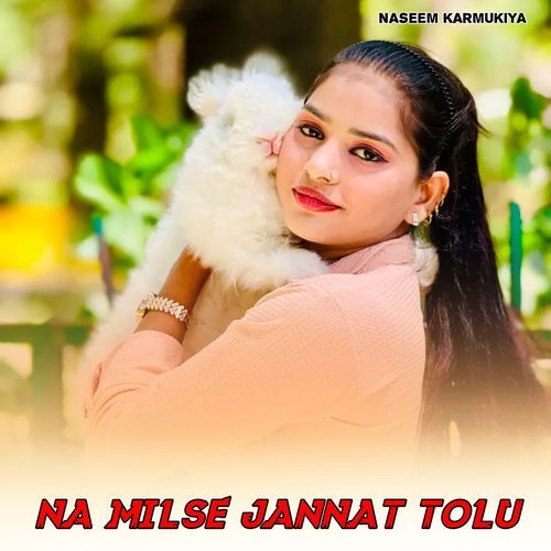 Na Milse Jannat Tolu