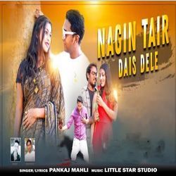 Nagin Tair Dais Dele (Nagpuri Song)-AyUZeCZ,B0U