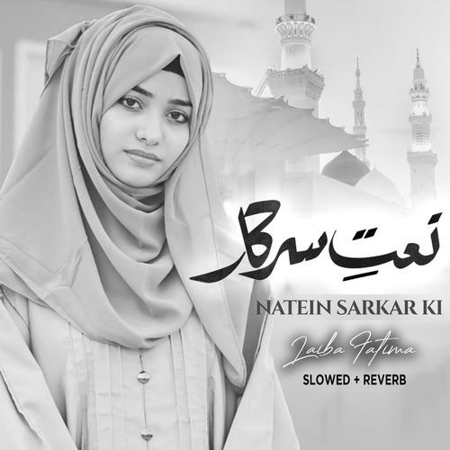 Natein Sarkar Ki Lofi Version