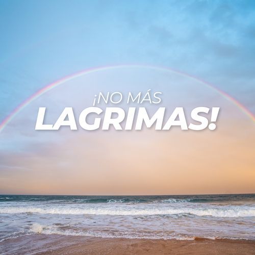 The Other Side Of Paradise