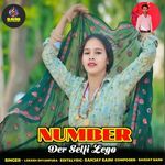 Number Der Selfi Lego