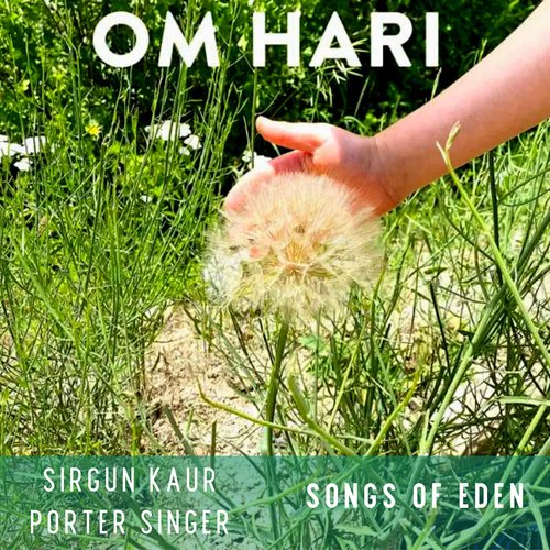 Om Hari_poster_image