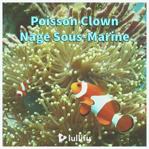 Poissons fourragers cover art