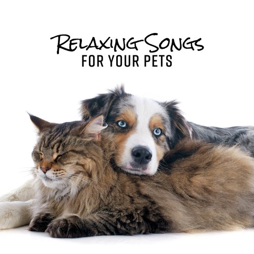 Relax for My Dog cover art