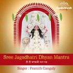 Sree Jagadhatri Dhyan Mantra