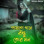 পাষাণে গড়া বন্ধু তোর মন
