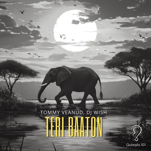 Teri Baaton (Extended Mix)