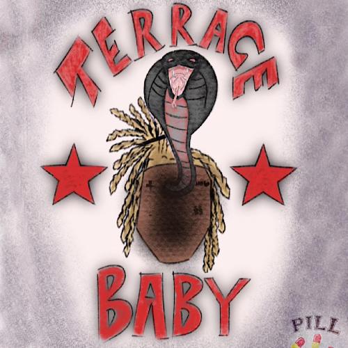 Terrace Baby_poster_image