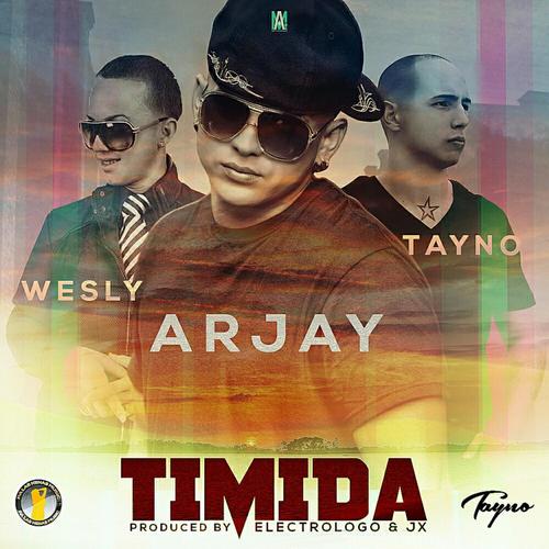 Timida (feat. Wesly &amp; Tayno)_poster_image