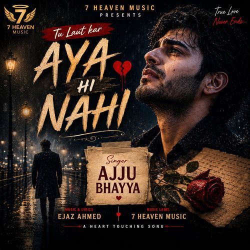Tu Laut Kar Aya Hi Nahi