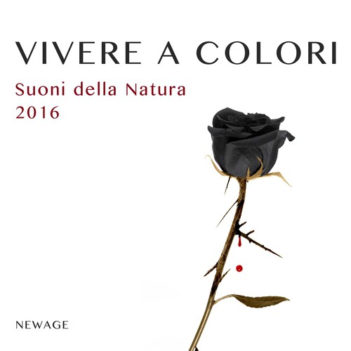 Musica per Dormire Profondamente cover art