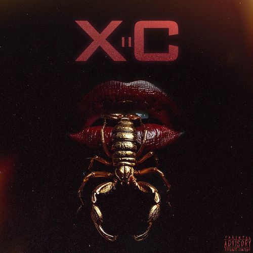X2C