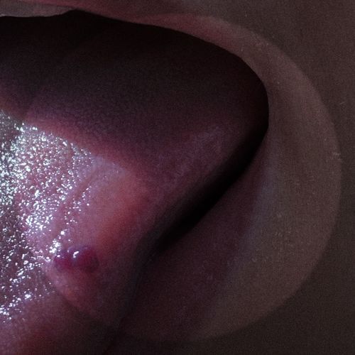 it must be hazarded to poetry