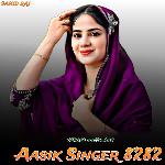 Aasik Singer 8282