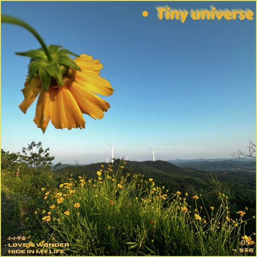 小小宇宙- JioSaavn - Listen to New & Old Indian & English Songs