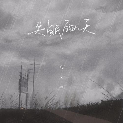 失眠雨天_poster_image