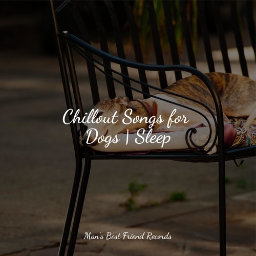 Sleepy Head cover art