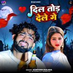 Dil Tod Dele Ge