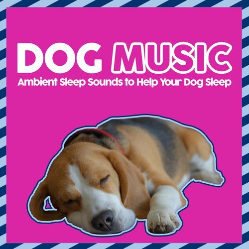 Dog Dreams cover art