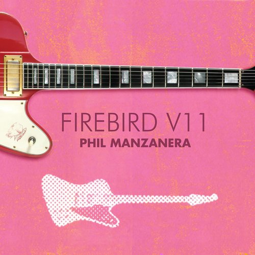 Firebird V11_poster_image