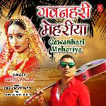 Gawanhari Mehariya