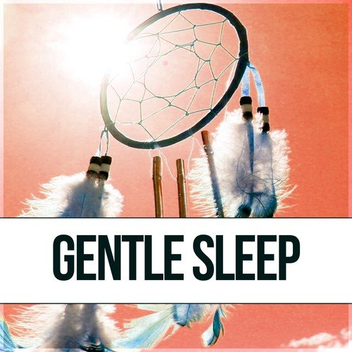 Secret Garden Solace Music Song Download From Gentle Sleep Music For Sleep Silent Music Sweet Dreams Pure Sleep Music Before Sleep Jiosaavn