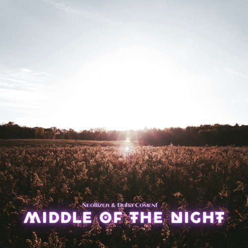 Middle of the night (Neoliizer & Duha Coment Guitar) cover art
