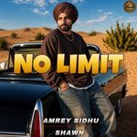 No Limit